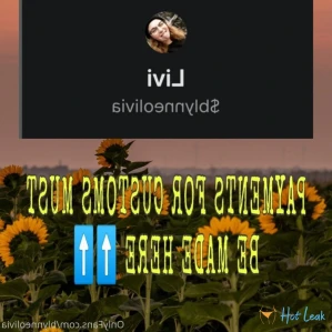 3355961