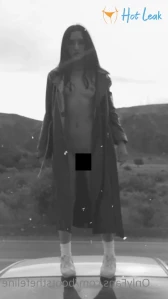 10645338