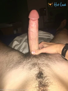 4553231