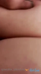 3156833