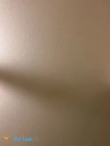 3169023