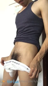 3176704