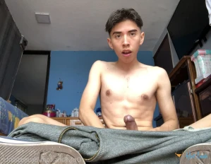 3663638
