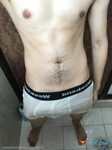 3664102