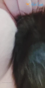 4867782