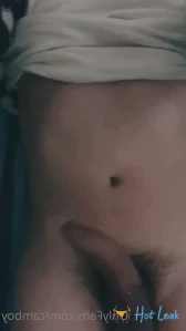 3199273