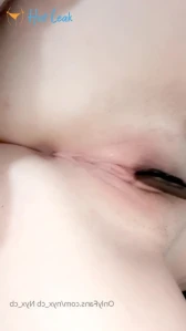 3203459
