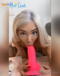 11798490
