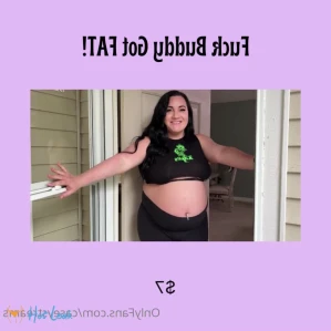 11403167
