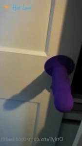 3223228