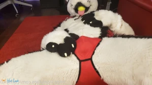 3627890