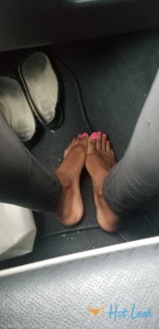 3555833