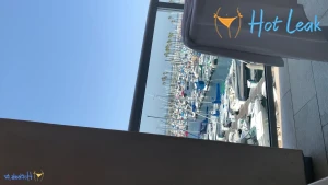11824116