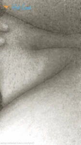 3545018