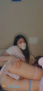 3636261