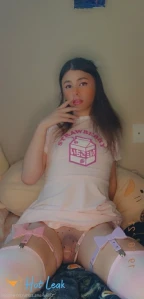 3637375