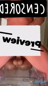 3256071