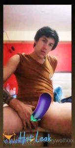 11727983