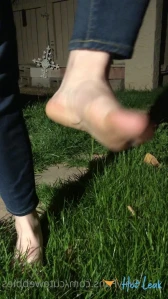3273434