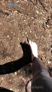3273435