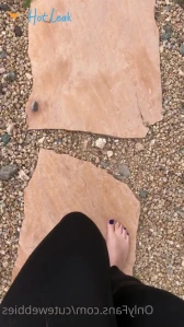 3273436