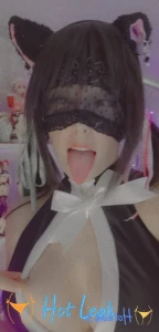 11841421