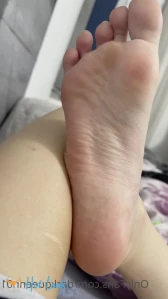 3284813