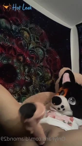3286548