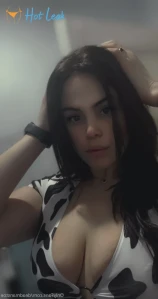 11045587