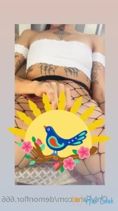 4872384