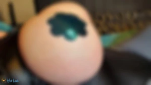 3384686