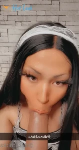 3291611