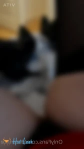 3294459