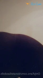 3295643