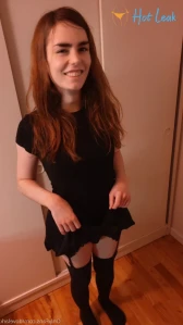 3466441