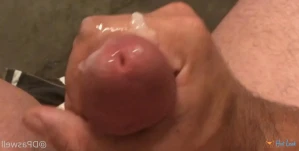 3388317