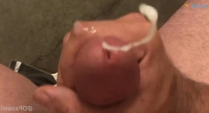 3388386
