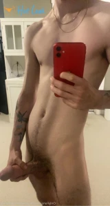 3668081