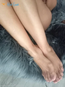 3596444