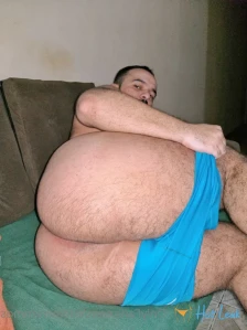3399255