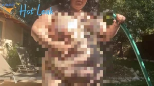 11845817