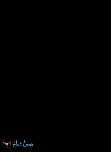 8955681