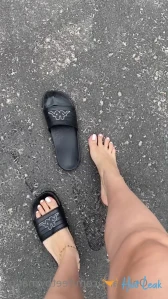 8955754