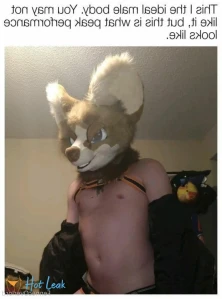 3215547