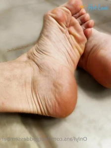 3524944
