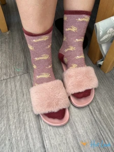 3537337