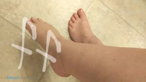 3372169