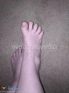 3386923