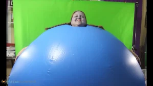 8955387