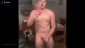 3376568
